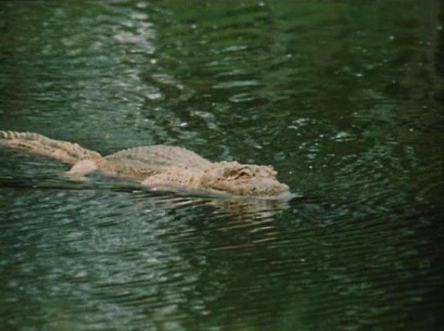 Таких "киноляпов" в фильме немало. Например, съемочной группе не понравилось, каким получился эпизод в Космозоо, когда Алиса пытается прочитать мысли крокодила. Хищника смастерили из пенопласта, и, в принципе, он был очень похож на настоящего аллигатора. 