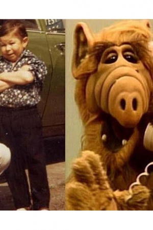 Пришельца внеземных цивилизаций Альфа, ставшего в 1980-е суперзвездой телесериала, сыграл венгр Мичу Месарош (Michu Meszaros), чей рост не превышал 83 см. При таком маленьком росте, пристрастия у него далеко не детские. Мадьяр обожает шотландский виски и  Пришельца внеземных цивилизаций Альфа, ставшего в 1980-е суперзвездой телесериала, сыграл венгр Мичу Месарош (Michu Meszaros), чей рост не превышал 83 см. При таком маленьком росте, пристрастия у него далеко не детские. Мадьяр обожает шотландский виски и