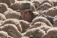 Миллион способов потерять голову