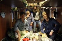 Скорий "Москва-Россия"