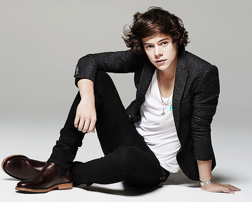 4. Гарри Стайлз (Harry Styles);