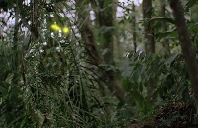 Иногда на съемки двух- или трехсекундного фрагмента уходило по шесть часов рабочего времени. Иногда на съемки двух- или трехсекундного фрагмента уходило по шесть часов рабочего времени.