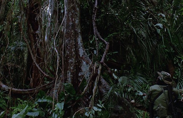 Почти все, что зритель видит на экране, — настоящие джунгли в дебрях Мексики. Они были настолько густые, что перед съемками лес пришлось изрядно проредить, чтобы увеличить зону видимости. А чтобы листья выглядели ярче, деревья время от времени поливали во Почти все, что зритель видит на экране, — настоящие джунгли в дебрях Мексики. Они были настолько густые, что перед съемками лес пришлось изрядно проредить, чтобы увеличить зону видимости. А чтобы листья выглядели ярче, деревья время от времени поливали во