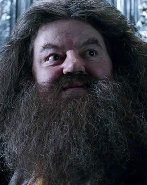 Робби Колтрейн в роли Рубеуса Хагрида Робби Колтрейн в роли Рубеуса Хагрида