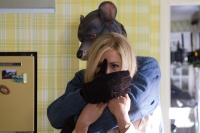 Укради мою жену