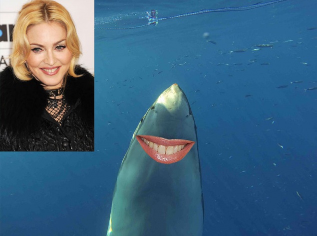 Мадонна Мадонна