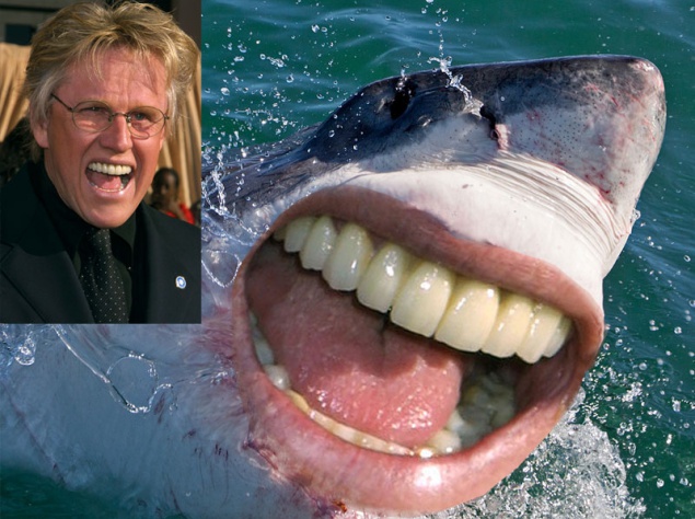 Гари Бусе Гари Бусе