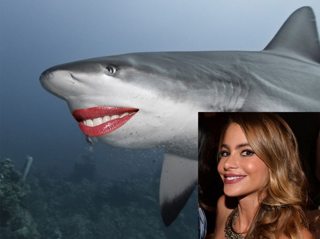 София Вергана София Вергана