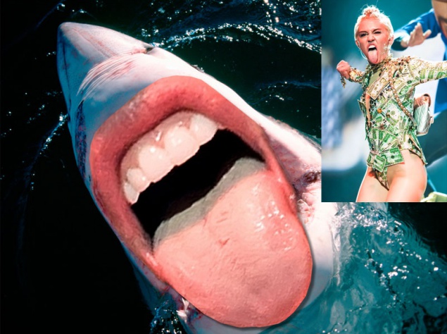 Майли Сайрус Майли Сайрус