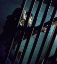 Віджа. Смертельна гра