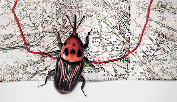 Документальная картина "Римская кольцевая дорога". Фильм демонстрирует жизни горожан, живущих вдоль Римской кольцевой дороги. Создатели арт-хауса рассказывают о самых разнообразных персонажах и их судьбах, протекающих вдали от привычного нам Рима и его до