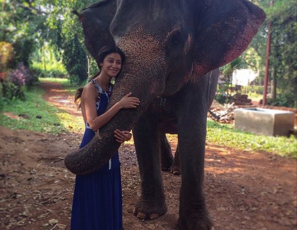 "Слон и Моська", - пошутила Равшана. "Слон и Моська", - пошутила Равшана.