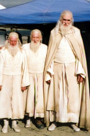 14. Иэн МакКеллен (Ian McKellen) для серии фильмов "Властелин Колец".