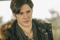 Царство красоты