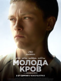 Молода кров