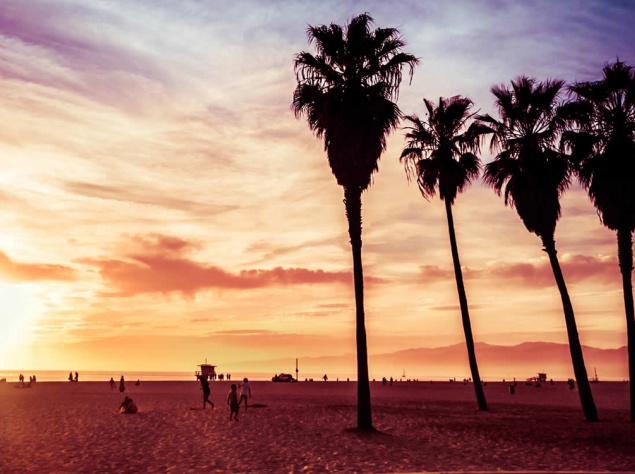Venice Beach – один из самых популярных пляжей