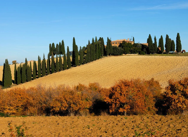 ИТАЛИЯ "ПОД СОЛНЦЕМ ТОСКАНЫ" ИТАЛИЯ "ПОД СОЛНЦЕМ ТОСКАНЫ"