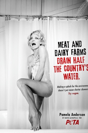 Фотография Памелы непростая – в ней обыгрывается знаменитая сцена из фильма ужасов Альфреда Хичкока "Психоз".