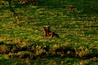 Подалі від безумного натовпу