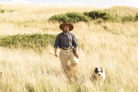 Подалі від безумного натовпу