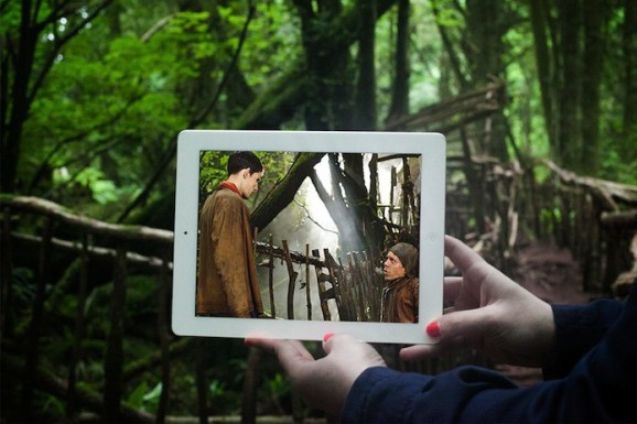 Мерлин (лес Паздвуд в Уэльсе).