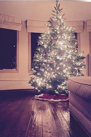 Ванесса Хадженс самостійно одягла красиву новорічну ялинку