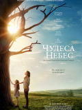 Чудеса с небес