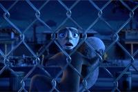 Бережи свої горішки