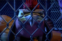 Бережи свої горішки