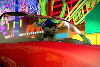 Бережи свої горішки