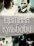 Цвітіння кульбаби / ОМКФ