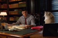 Девять жизней