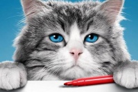 Девять жизней