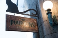 Девять жизней