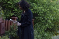 Світло між двох океанів