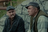 Гніздо горлиці