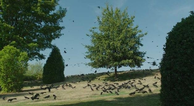 Секретные материалы