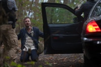 Найди меня, если сможешь