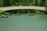 Суперстюард