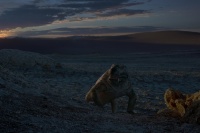 Мандрівка часу