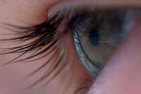 Мандрівка часу