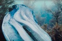 Мандрівка часу