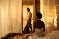 Пальми в снігу