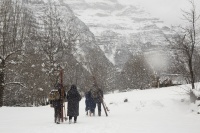 Пальми в снігу