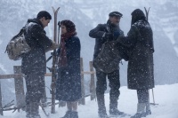 Пальми в снігу