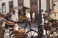 Пальми в снігу