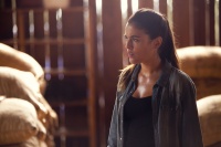 Пальми в снігу