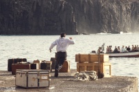 Пальми в снігу