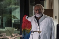 Містер Фелічіта