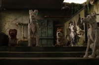 Остров собак